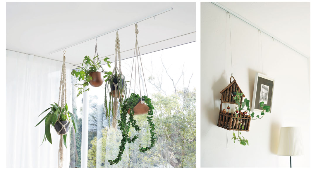 Scene3 天井から観葉植物を吊り下げて空間アートに